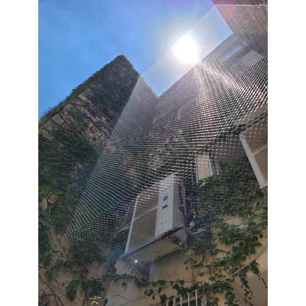 20240627_124739