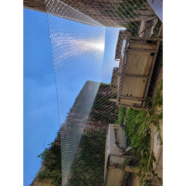 20240627_124744