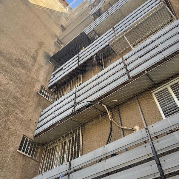 רשת נגד יונים