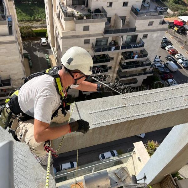 דוקרנים נגד יונים מותקנים על אדן חלון למניעת נחיתת יונים