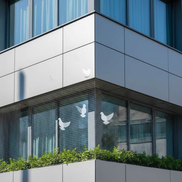 הרחקת יונים באמצעות רשת