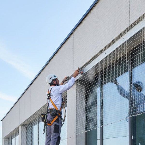 מתקין רשתות נגד יונים מקצועי: פתרון אולטימטיבי להרחקת מזיקים